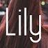 Alan Walker K 391 Emelie Hollow Lily Lyrics