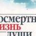 А И Осипов Из времени в вечность посмертная жизнь души