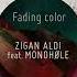 Monohøle Zigan Aldi Fading Color