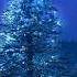 Merle Haggard Blue Christmas