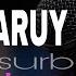 ARAY ARUY ARAY Karaoke Max Surban