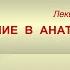 ВВЕДЕНИЕ В АНАТОМИЮ с академиком Валентином Ивановичем Козловым