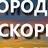 ВСЕХ СКОРБЯЩИХ РАДОСТЬ МОЛИТВА ПЕРЕД ИКОНОЙ БОЖИЕЙ МАТЕРИ