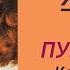 20 век Аллы Пугачёвой вокал 1965 2000