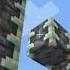 Minecraft 1 19 Warden Portal Activated Shortsfeed Minecraft Minecraftbuild