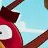 Angry Birds с 1 августа на СТС Love