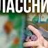 Посвящение в первоклассники Песня Мы первоклассники мы одноклассники