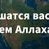 Сура Аль Хашр чтец Ислам Субхи