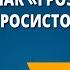 С Я Маршак Гроза днем В лесу над росистой поляной