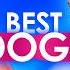 BEST DOGS That Can Win On Got Talent