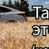 10 лет в такси 5 главных вещей которые я понял за это время