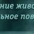 Социальное поведение животных Урок 1 1 Что такое индивид