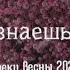 пой если знаешь эти песни весна 2022 песни 2021 2022 популярные треки из тик тока Music Top