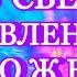 ОТКРЫТИЕ КОДОВ СВЕТА ОЗДОРОВЛЕНИЯ ОМОЛОЖЕНИЯ Novoe Probujdene Chelovchestva