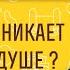 ПОЧЕМУ ВОЗНИКАЕТ ПУСТОТА В ДУШЕ Протоиерей Владимир Новицкий