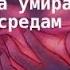 Надежда умирает по средам 1 3 часть Взахлёб