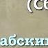 Сура 59 аль Хашр арабские и русские титры Мухаммад Люхайдан