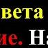 Душа солдата передала жуткое послание с того света В загробном мире все не так Медиум Уэлси Поул