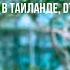 Кюннэй Солнышкина Как заработать на квартиру в Таиланде на тортиках