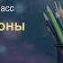 Природные зоны России Арктические пустыни Окружающий мир 4 класс ч 1 с 116 119 Планета знаний