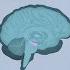 How Your Brain Works When You Re Depressed Better NBC News