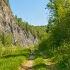 Sunny Day Forest Walk By Zilim River Relaxing Atmosphere Of Spring Nature In 4K HDR