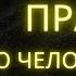 Шокирующая правда о людях 12 психологических фактов которые изменят ваше восприятие Стоицизм