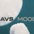 Snavs Moods Lyric Video