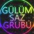 Gülüm Saz Grubu Sebo Müzik Samsun 1998 Oyun Havaları Kaseti B ROLAND