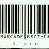 Barcode Brothers Flute Radio Edit