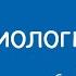 Биология 7 класс Исследование наличия углеводов белков жиров в продуктах питания 30 10 2020