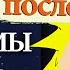 第20 Мелатонин бесполезен Пауки под кофеином Зачем мы спим часть 3