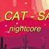 NIGHTCORE Doja Cat Say So Reverb Ver