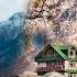 Kalpa Most Beautiful Village Of Himachal Pradesh