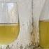 WHITE WINE Homemade How To Make WINE At Home Italian Tradition Recipe Whitewine