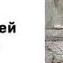 Книга Песни Песней Соломона Аудио Слушать Онлайн