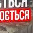 33 роки Незалежності України Вільні люди мають зброю