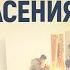 Путь спасения Как вести себя при угрозе террористического акта