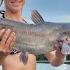 Jug Fishing For Catfish Catch And COOK