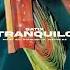 SATIX62 Tranquillo Prod By Blue Atlanta Beats