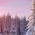 Winter Sunrise Instrumental Music Perfect For Relaxation Soothing The Soul Herrin