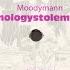 Moodymann Technologystolemyvinyle