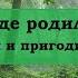 Где родился там и пригодился