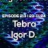 213 I Progressive Tales With Tebra Igor D