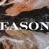 Chris McQuistion Seasons Official Lyric Video