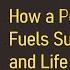 The Happiness Advantage How A Positive Brain Fuels Success In Work And Life By Shawn Achor