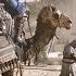 Camel Ride To 9th Century Baghdad Assassin S Creed Mirage