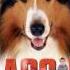 LASSIE 2005 Soundtracks 10 Freedom