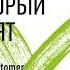 Синди Альварес Как создать продукт который купят Метод Lean Customer Development Аудиокнига