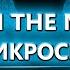 MAN IN THE MIDDLE ПОД МИКРОСКОПОМ ЛЕКЦИЯ ОТ АВТОРА Intercepter NG для КОНФЕРЕНЦИИ Стачка 2017